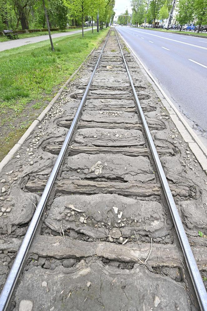 Katastrofalny stan torowiska na al. Waszyngtona. Tramwajarze naprawią tylko fragmenty 