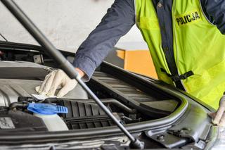 Straż Leśna w Gubinie zatrzymała złodzieja samochodów