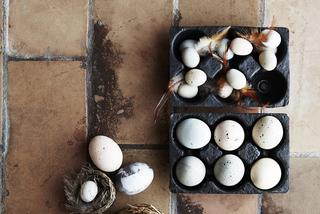 Dekoracja wielkanocna z jajek w naturalnych skorupkach
