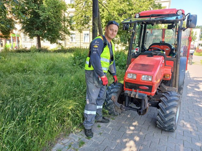 Trawniki w Lesznie wybujały. Koszą prawie codziennie [ZDJĘCIA]