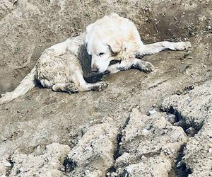 Leżał w rowie i nie miał siły się wydostać. Oto historia 15-letniego Neo