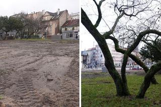 Zniknęły drzewa, bo będzie biurowiec. Kolejne takie miejsce w Gdyni