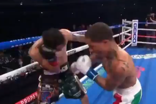 Brutalny nokaut w walce Gervonta Davis - Leo Santa Cruz