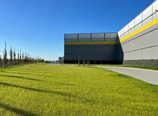 Magazyny bardziej przyjazne ludziom i środowisku. Trendy na rynku magazynowym 