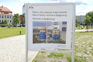 Mamy o Bydgoszczy na ulicach miasta