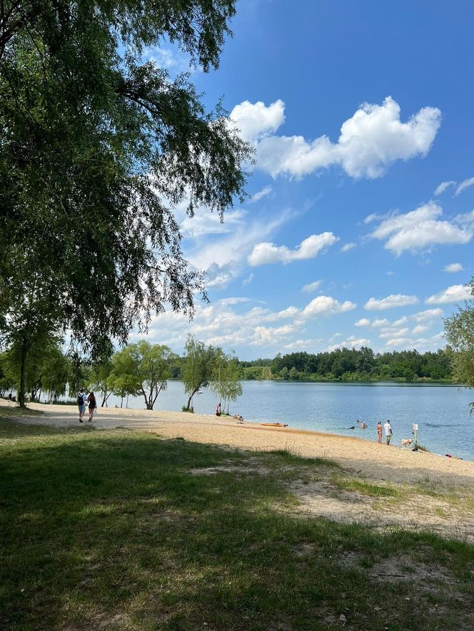 Sztuczna inteligencja wybrała najpiękniejszą plażę w Małopolsce. Tam warto wybrać się w wakacje!