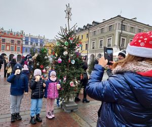  Zamojskie przedszkola i szkoły dekorowały choinki