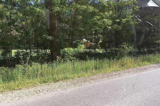 Wypadek w Hołubli. Wśród rannych dzieci.