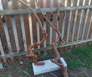 Muzeum Patyka w Toruniu