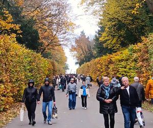 1 listopada na Cmentarzu Centralnym w Szczecinie