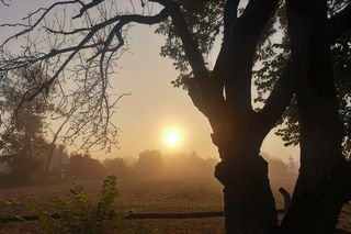 Adamkowo, czyli Ptasia Wioska, najmniejsza taka w kraju. Gdyby na raz przyjechało 36 turystów, byłoby ich więcej niż mieszkańców wsi