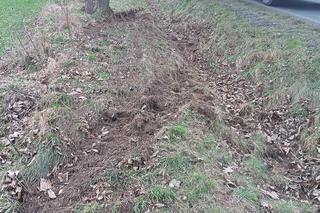 Śmiertelny wypadek pod Wschową! 49-latka nie miała szans po uderzeniu w drzewo i dachowaniu [ZDJĘCIA].