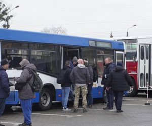 Katarzynki 2024 - wystawa autobusów przy Galerii Panorama