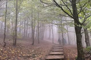 Mimo deszczu turyści odwiedzają Bieszczady