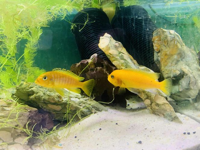 Rozmawiamy z Tomaszem Wiśniewskim, założycielem Aqua Dreams Bydgoszcz