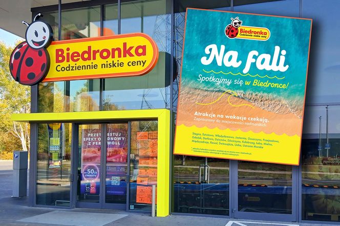 Biedronka na fali