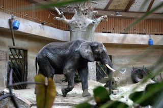 Jak kreatywnie spędzić Dzień Dziecka w Warszawie? Wykorzystaj nasze pomysły!