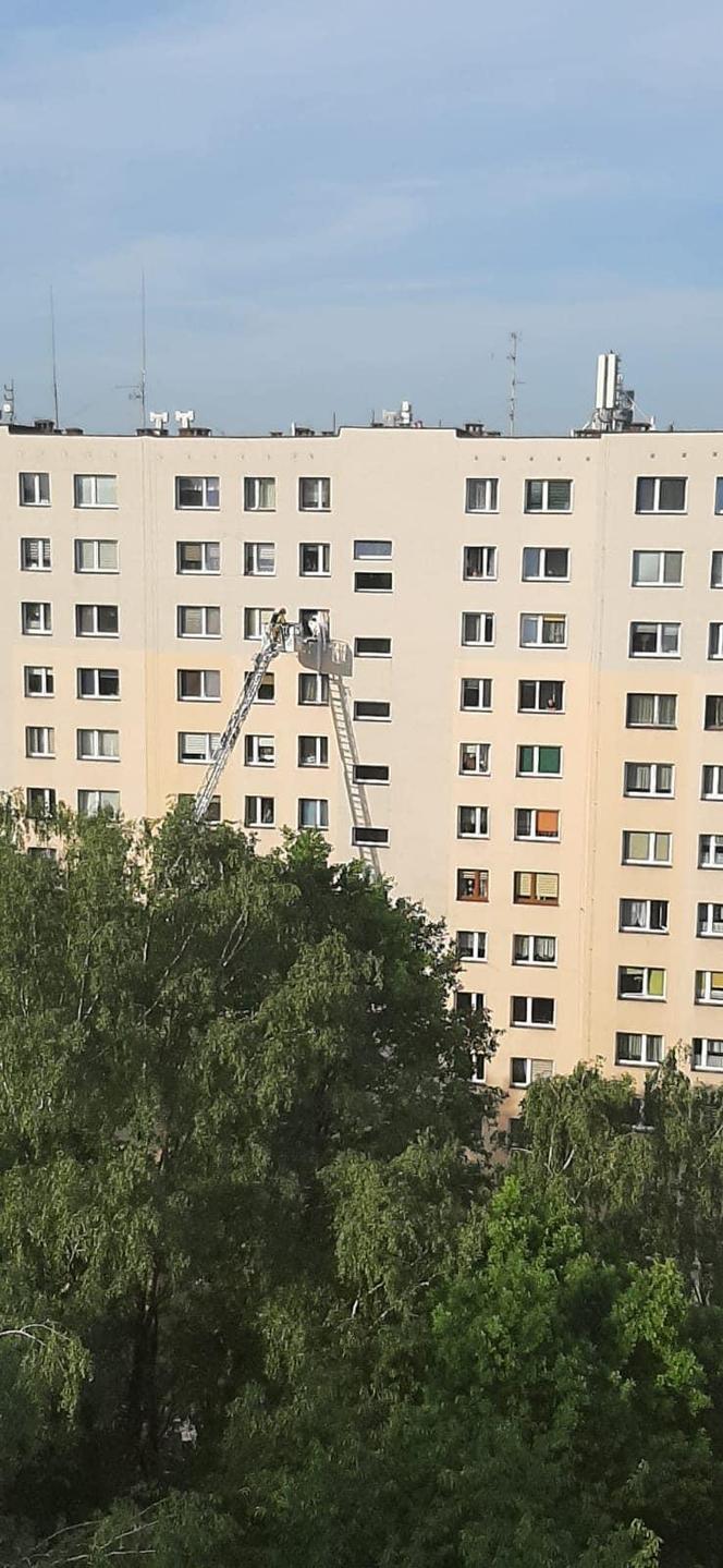 Potężny wybuch butli z gazem w bloku w Jastrzębiu-Zdroju. Jedna osoba poszkodowana