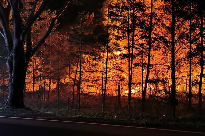 Pożar podkładów kolejowych 