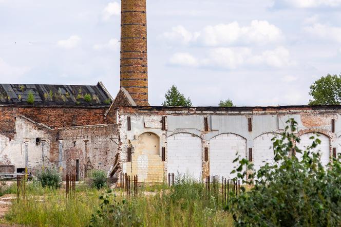 Drucianka Campus na terenie fabryki Drucianka – ruiny fabryki