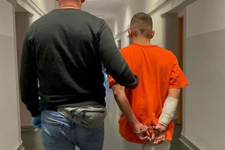 Opole: Mężczyzna zabił psy partnerki. Odkręcił też kurki z gazem. Usłyszał zarzuty