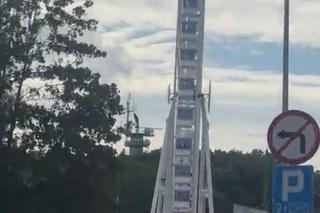 TikTokerka krytykuje Kołobrzeg