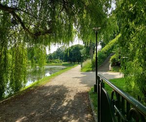 Park Miejski w Zamościu