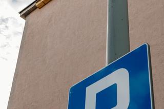 W Łodzi pojawią się budki dla jerzyków