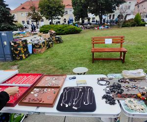 Jarmark Staroci w Wodzisławiu Śląskim