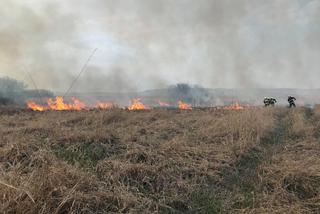 Potężny pożar obszarów chronionych Natura 2000!