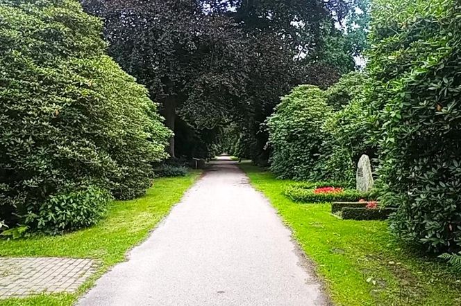 Ohlsdorfer Friedhof w Hamburgu
