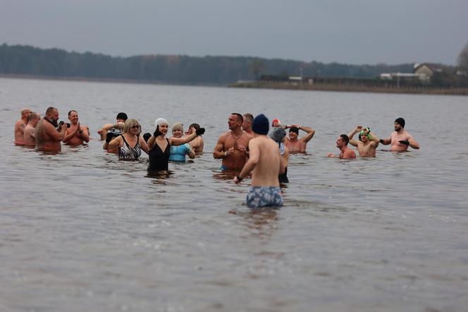 Lubelskie morsy wskoczyły do Zalewu Zemborzyckiego. Oni nie boją się zimnej wody! 