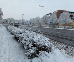 Leszno wygląda bajkowo! Na walentynki sypnęło śniegiem