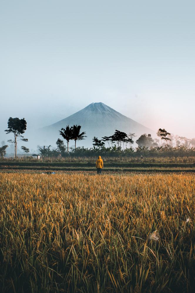 Tik Tok/Indonezja