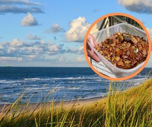 Bursztynowa gorączka na Mierzei Wiślanej! Plaże zamieniły się w kopalnie złota Bałtyku