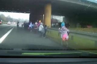 Dzieci z opiekunami biegały po DTŚ w Chorzowie