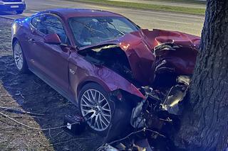 Roztrzaskał się mustangiem na drzewie. Wstrząsający wypadek, kierowca w ciężkim stanie