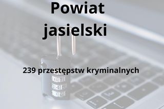 To tu na Podkarpaciu dochodzi do największej liczby przestępstw kryminalnych