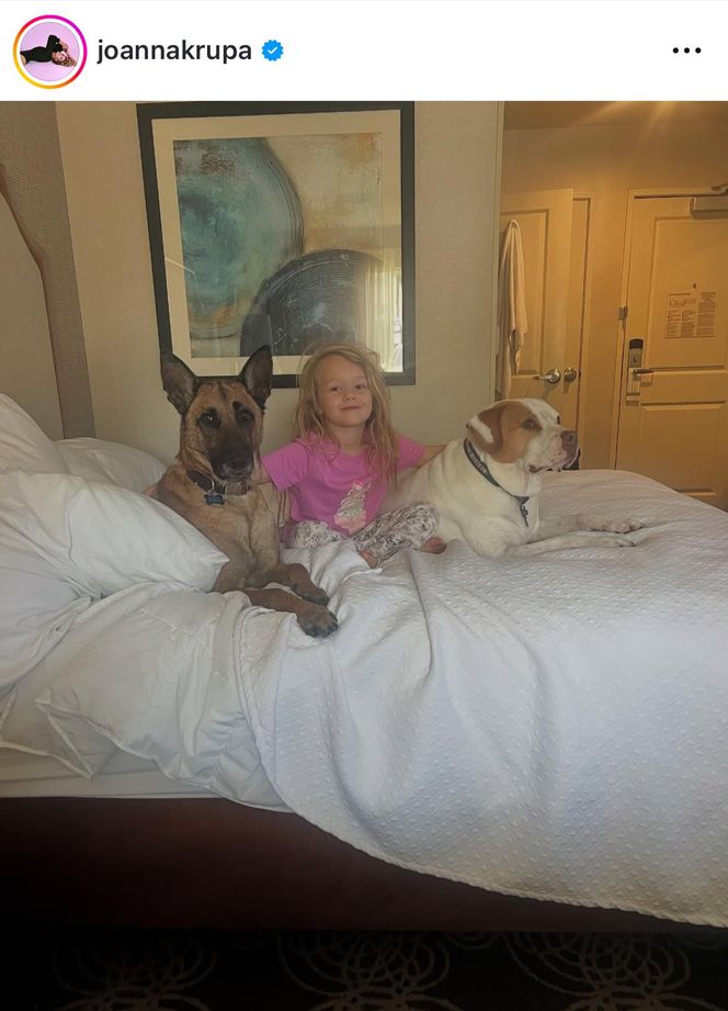 Te psy skradły serca gwiazd! Niektóre wyglądają jak z bajk