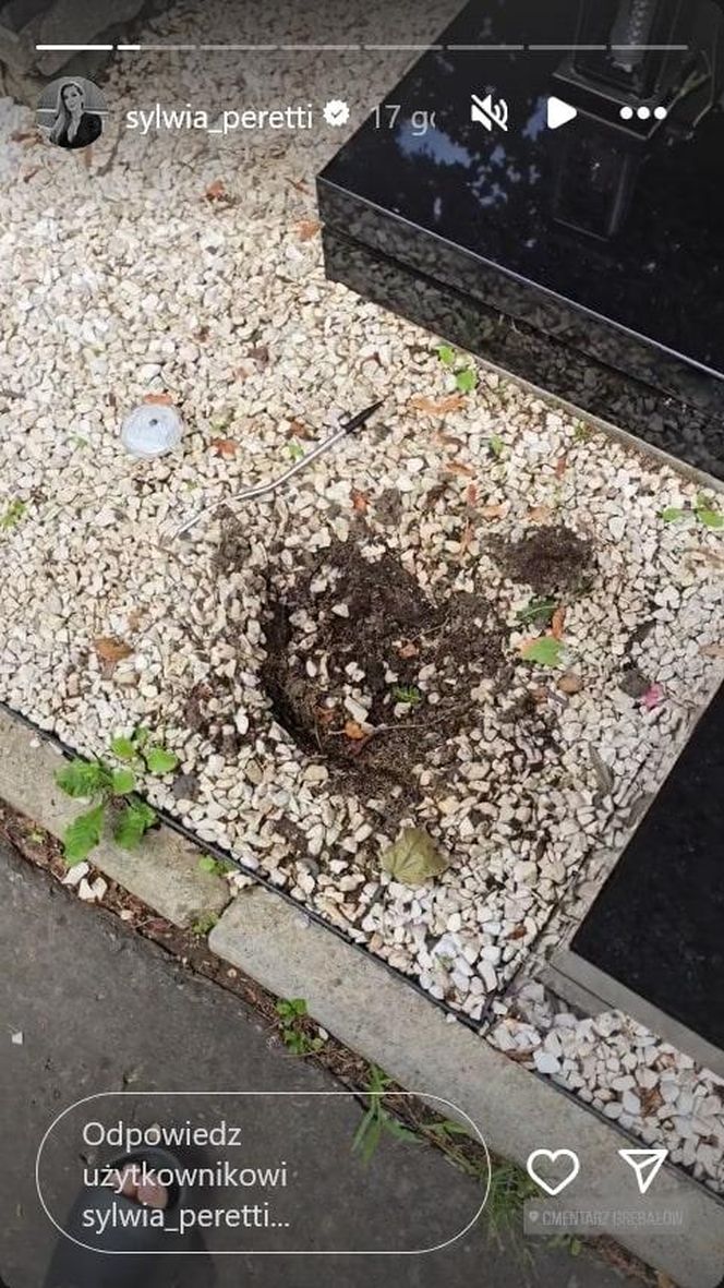 Złodziej na grobie syna Sylwii Peretti. Szok, co zabrał!