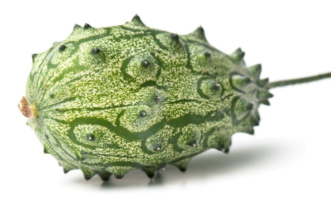 Ogórek kiwano