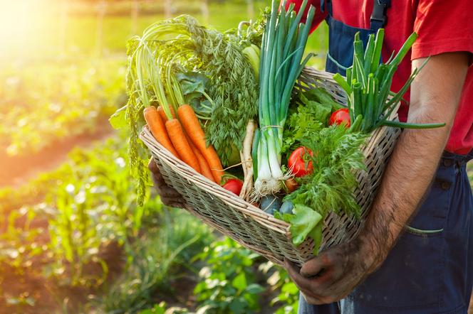 Nowalijki - jak wybierać i przechowywać młode warzywa