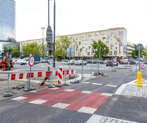 Sadzenie zieleni na placu Bankowym w maju 2025 r.