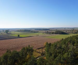 Wieża widokowa w Uhowie