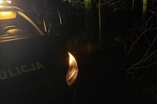 Grześ skazany na śmierć w męczarniach. Bestia przywiązała go do drzewa! Błagamy o pomoc