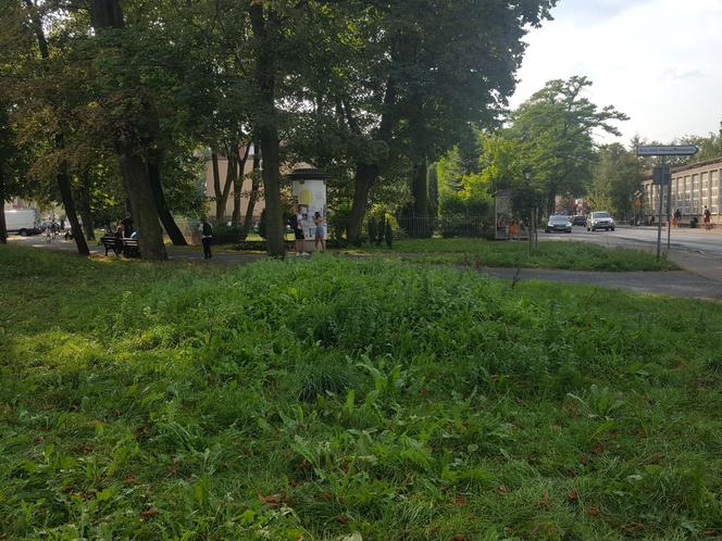 Zmienia się skwer na rogu Wałowej i Marcinkwoskiego w Lesznie. Będą nowe nasadzenia i budka meteo