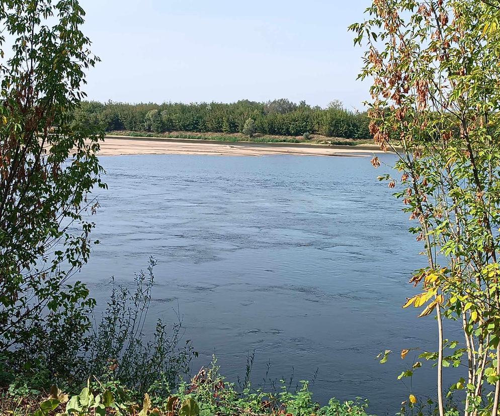 Grudziądz. Tak wygląda sytuacja hydrologiczna na Wiśle 