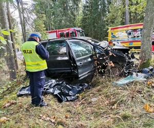 Śmiertelny wypadek pod Gołdapią. Kierowca zginął na miejscu [ZDJĘCIA]