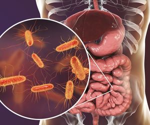 Mikrobiom - czym jest i jakie pełni funkcje?