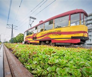 Tramwaj na Stegny. Trwa budowa nowej trasy